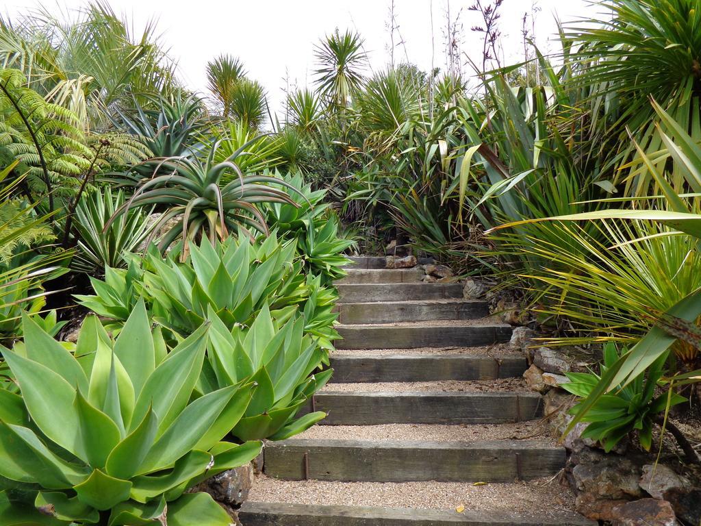 Nikau Apartments Waiheke Island Onetangi Zewnętrze zdjęcie